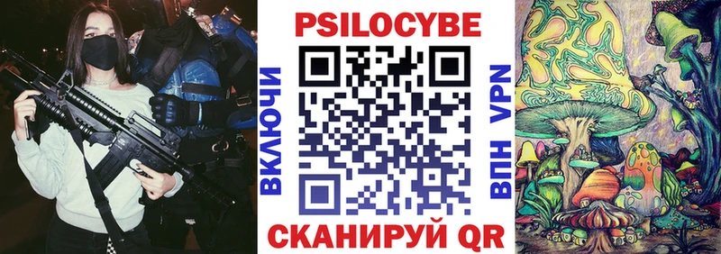 Псилоцибиновые грибы Psilocybe  Углегорск 